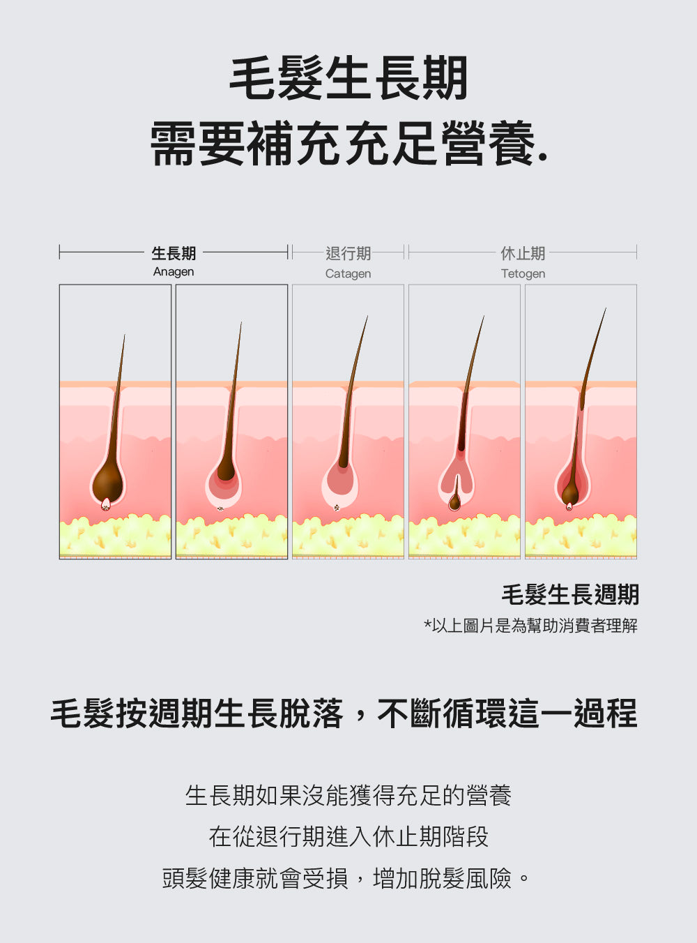 【ARHEE】頭皮護理滾珠平衡精華液 15ml
