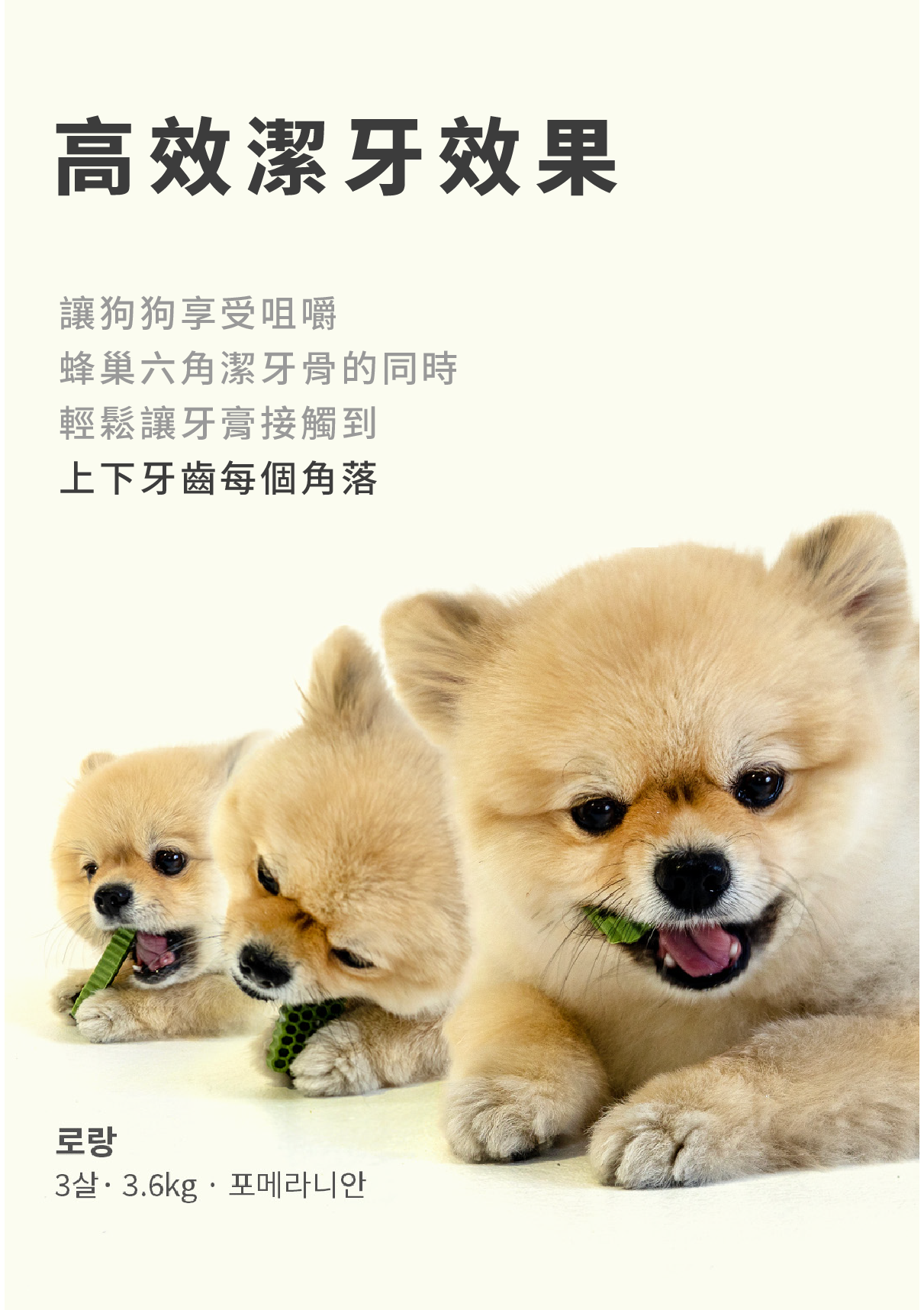 【by*Ref 】Honeycomb Chew蜂巢六角潔牙骨-蔬菜