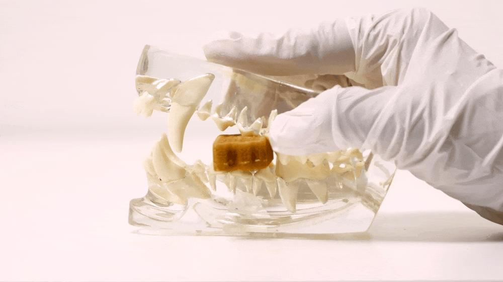 【by*Ref 】Honeycomb Chew蜂巢六角潔牙骨-明太魚(M) 16gx8/包