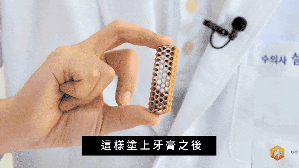 【by*Ref 】Honeycomb Chew蜂巢六角潔牙骨-明太魚(M) 16gx8/包