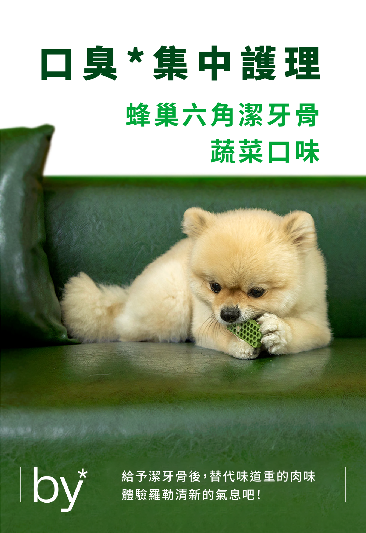 【by*Ref 】Honeycomb Chew蜂巢六角潔牙骨-蔬菜