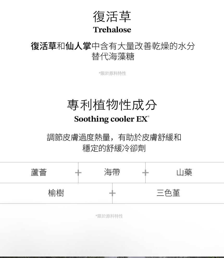 【Equlib】肌紋調理彈力棉片
