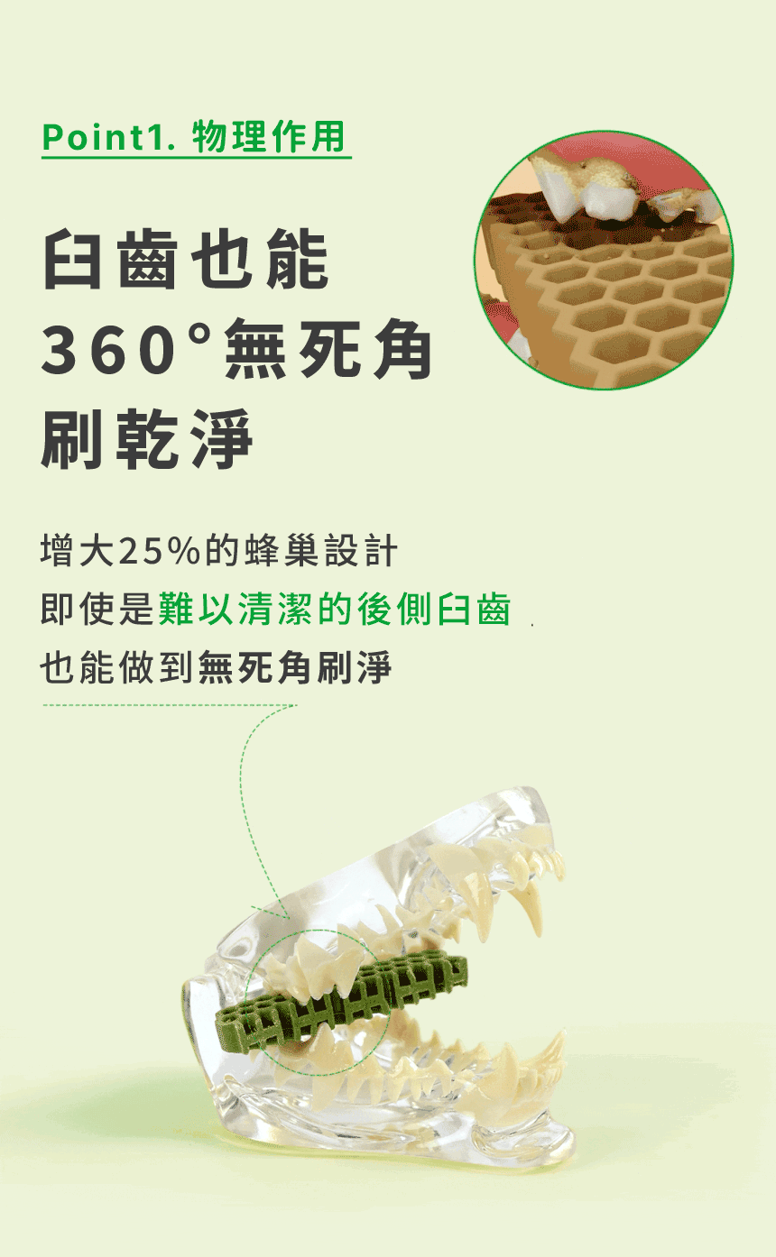 【by*Ref 】Honeycomb Chew蜂巢六角潔牙骨-蔬菜