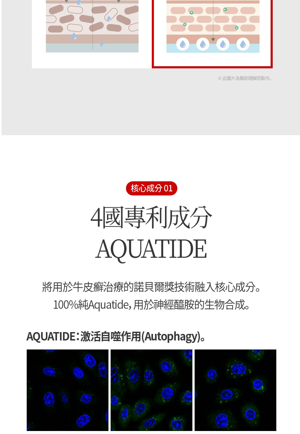 【Dear Lauren】 高效修復霜50ml