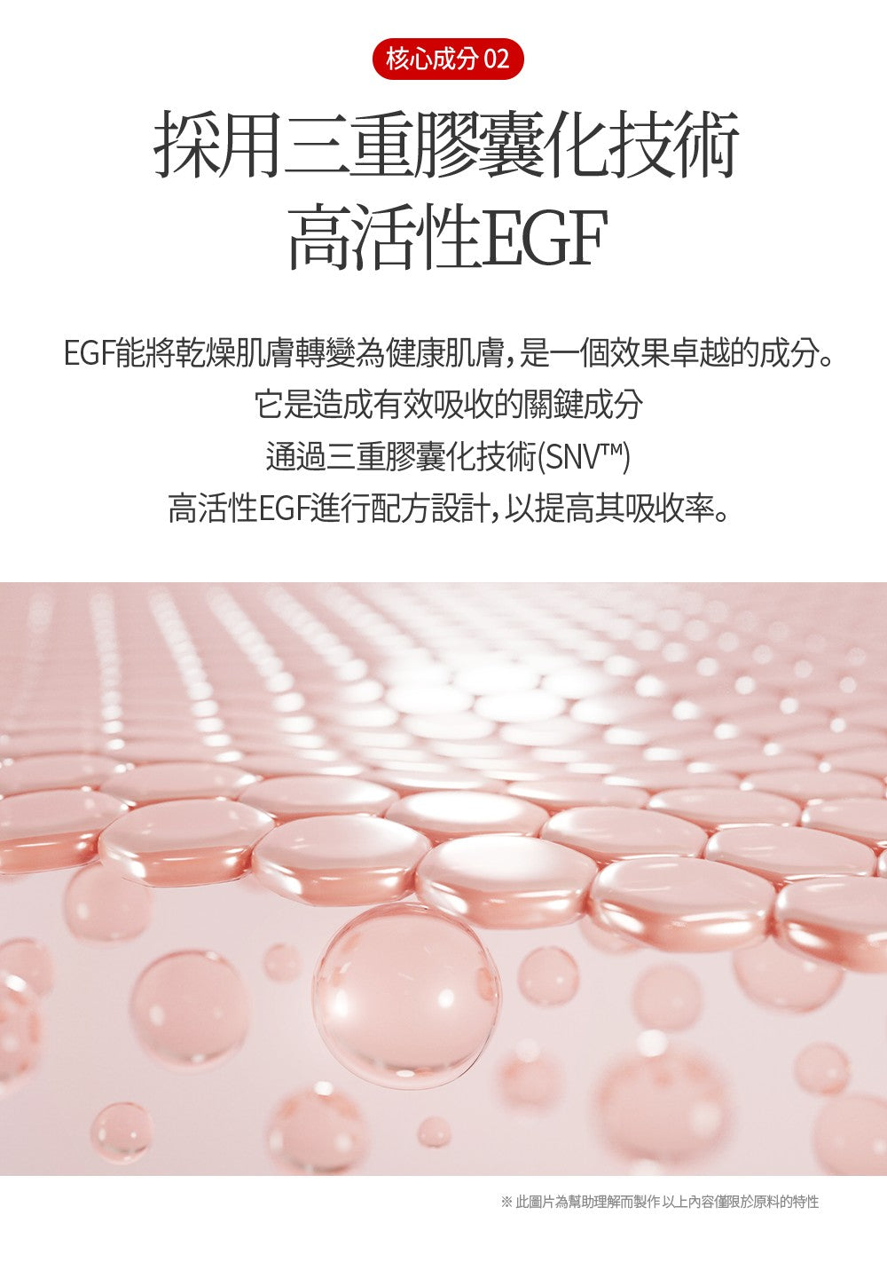 【Dear Lauren】 高效修復霜50ml