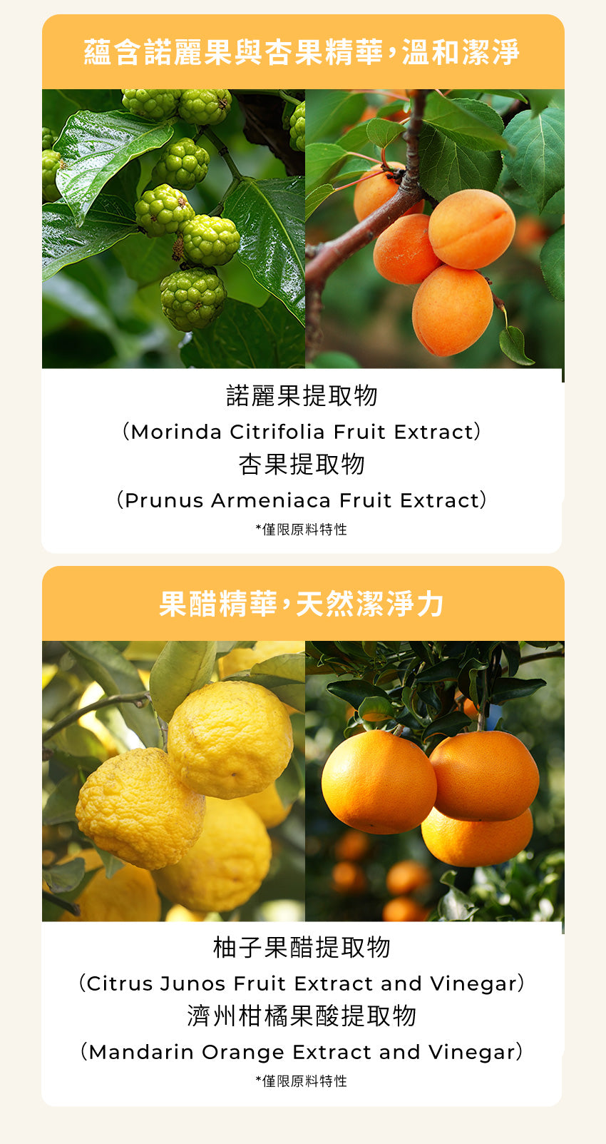 【MOTHER-K】LIFE 萬用去污清潔濕紙巾100抽MOTHER-K LIFE Disinfecting Wipes_100pcs