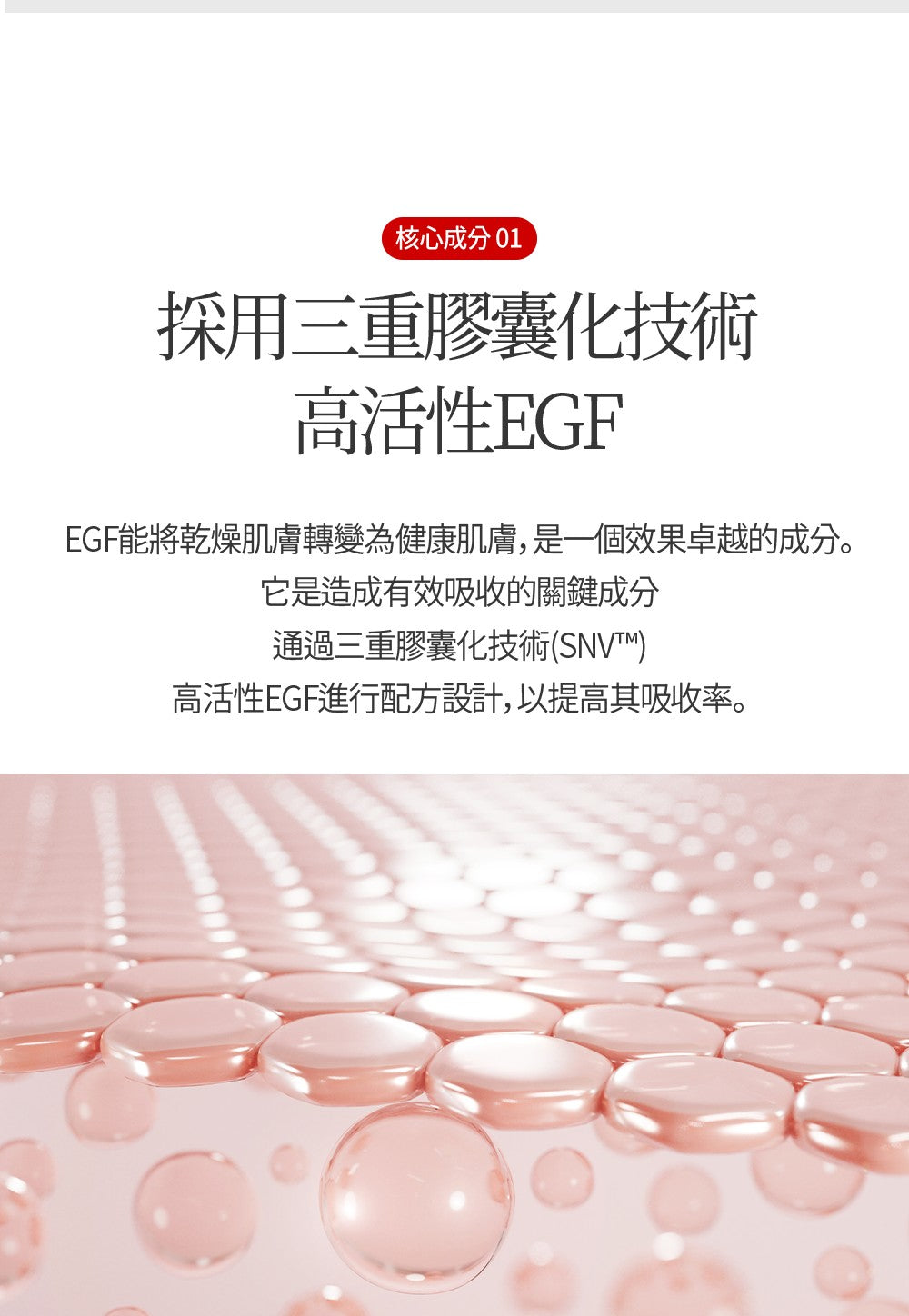 【Dear Lauren】 高效修復乳液80ml 三件組