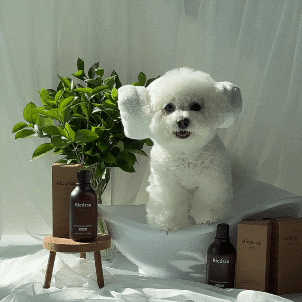 【Ricorso 】Airly森林柔順洗毛精 300ml