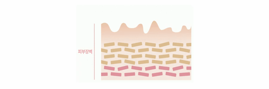 【Ricorso 】Airly森林柔順洗毛精 300ml