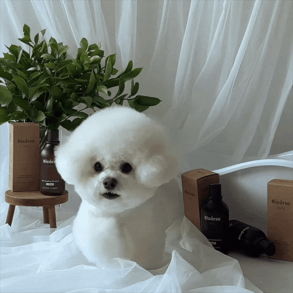 【Ricorso 】Airly森林柔順洗毛精 300ml