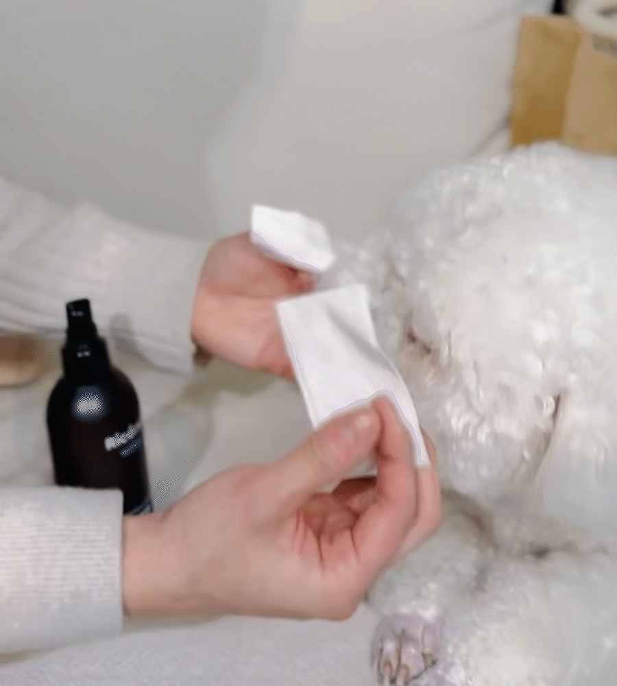 【Ricorso 】Cottony高級天然棉墊 70片