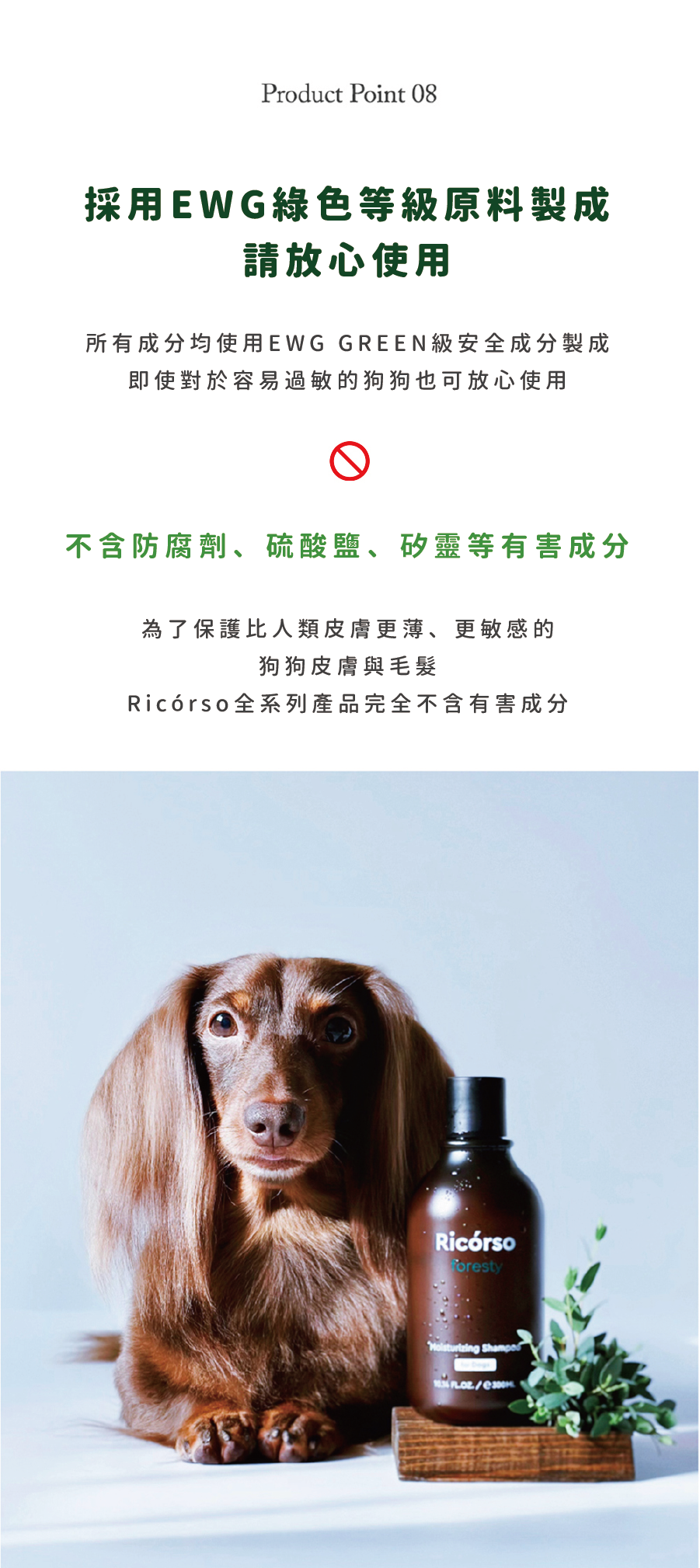 【Ricorso 】Foresty森林保濕洗毛精 300ml