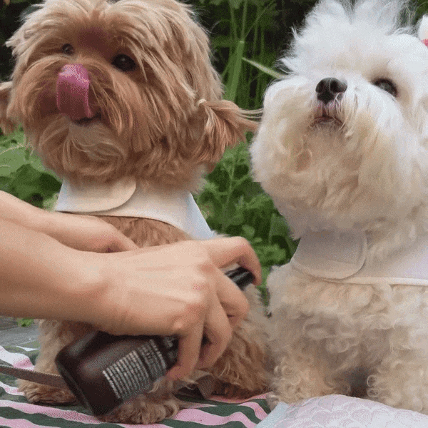 【Ricorso 】Proofy 防蟲蚤噴 200ml