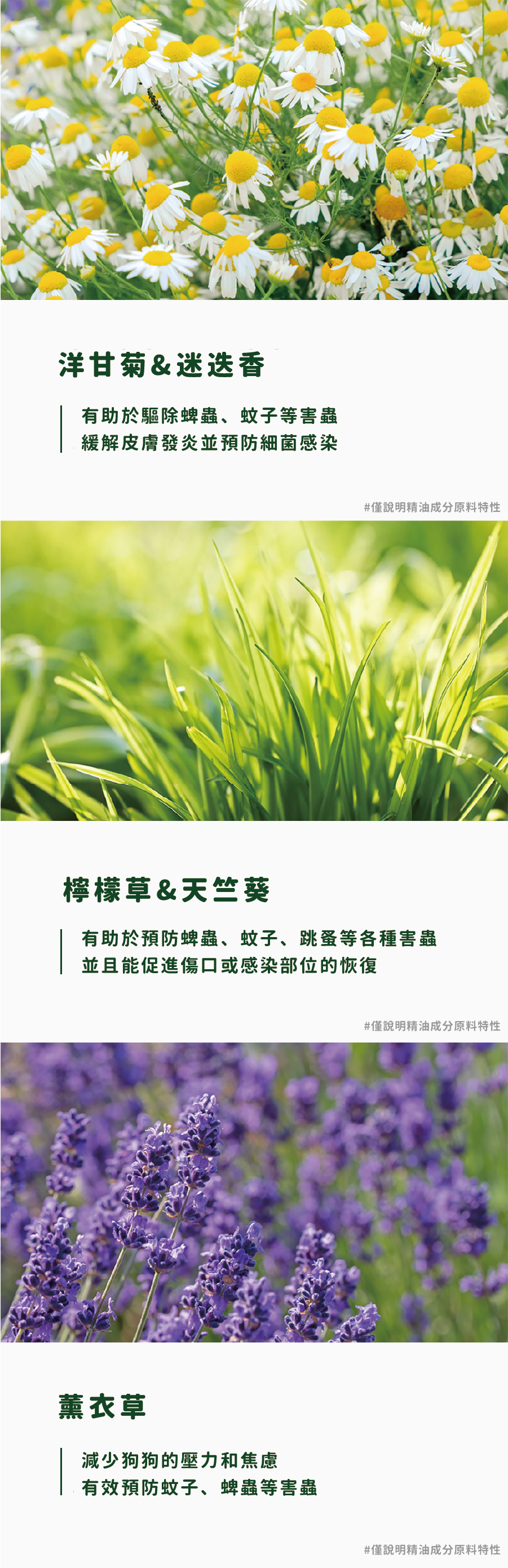 【Ricorso 】Proofy 防蟲蚤噴 200ml