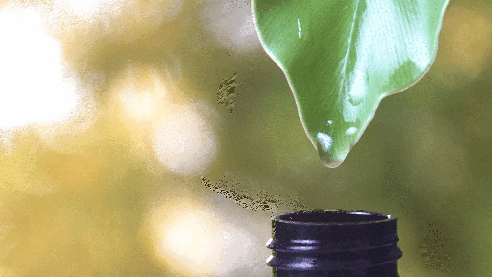 【Ricorso 】Silky 絲滑皮膚&毛髮噴霧 200ml