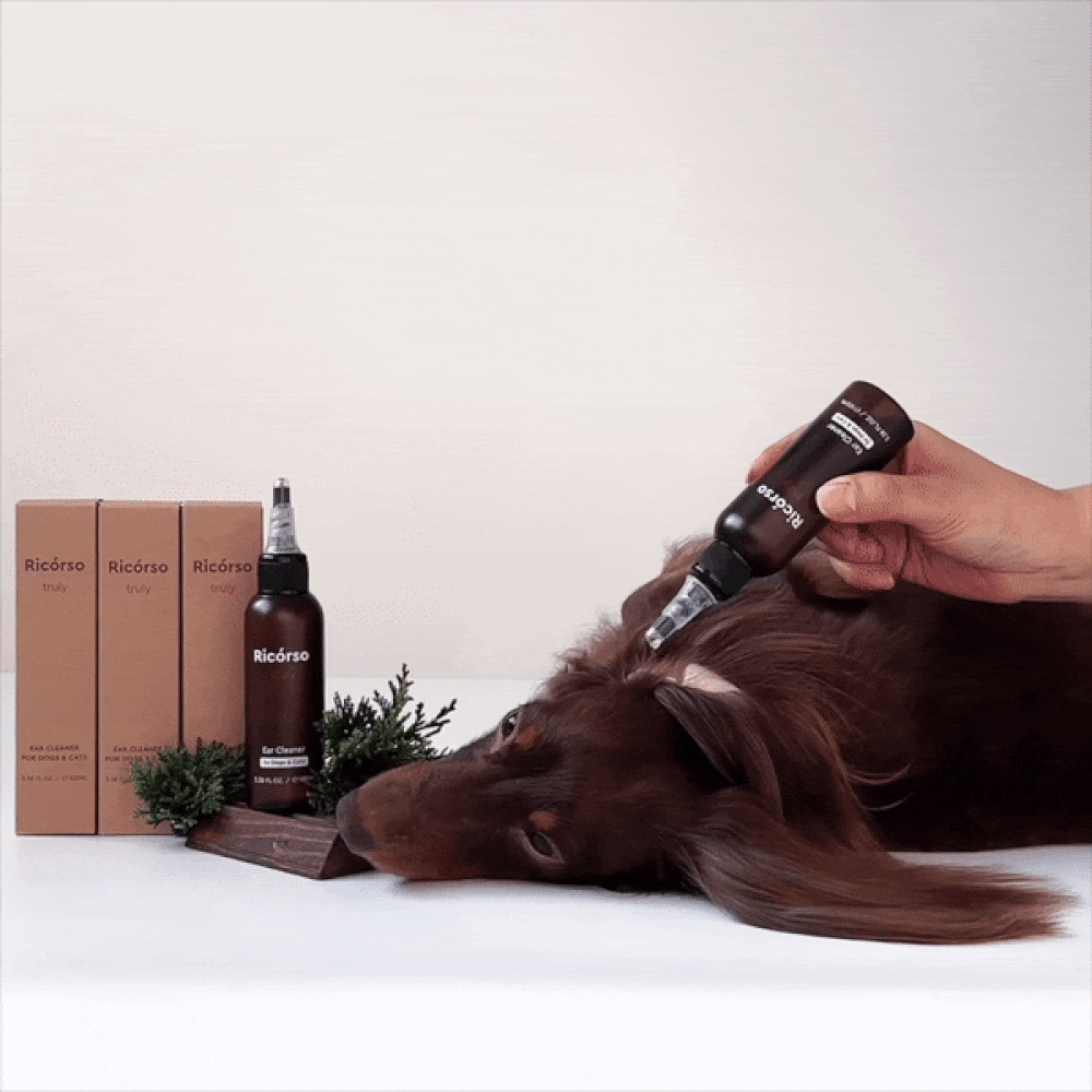 【Ricorso 】Truly極淨乾爽潔耳液 100ml