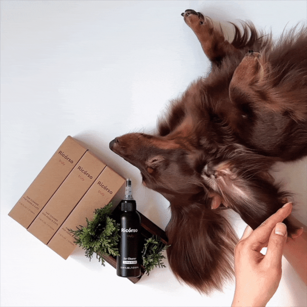 【Ricorso 】Truly極淨乾爽潔耳液 100ml