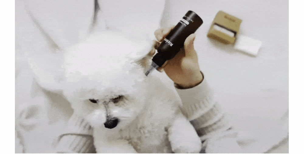 【Ricorso 】Truly極淨乾爽潔耳液 100ml