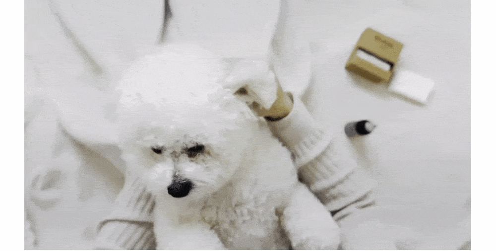 【Ricorso 】Truly極淨乾爽潔耳液 100ml