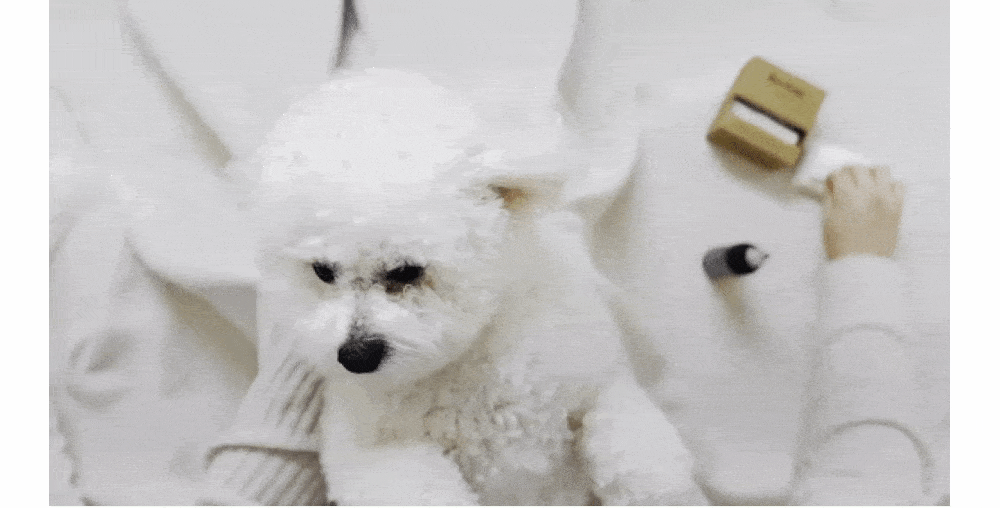 【Ricorso 】Truly極淨乾爽潔耳液 100ml