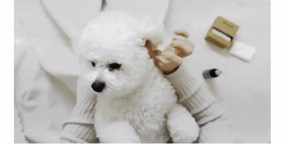 【Ricorso 】Truly極淨乾爽潔耳液 100ml