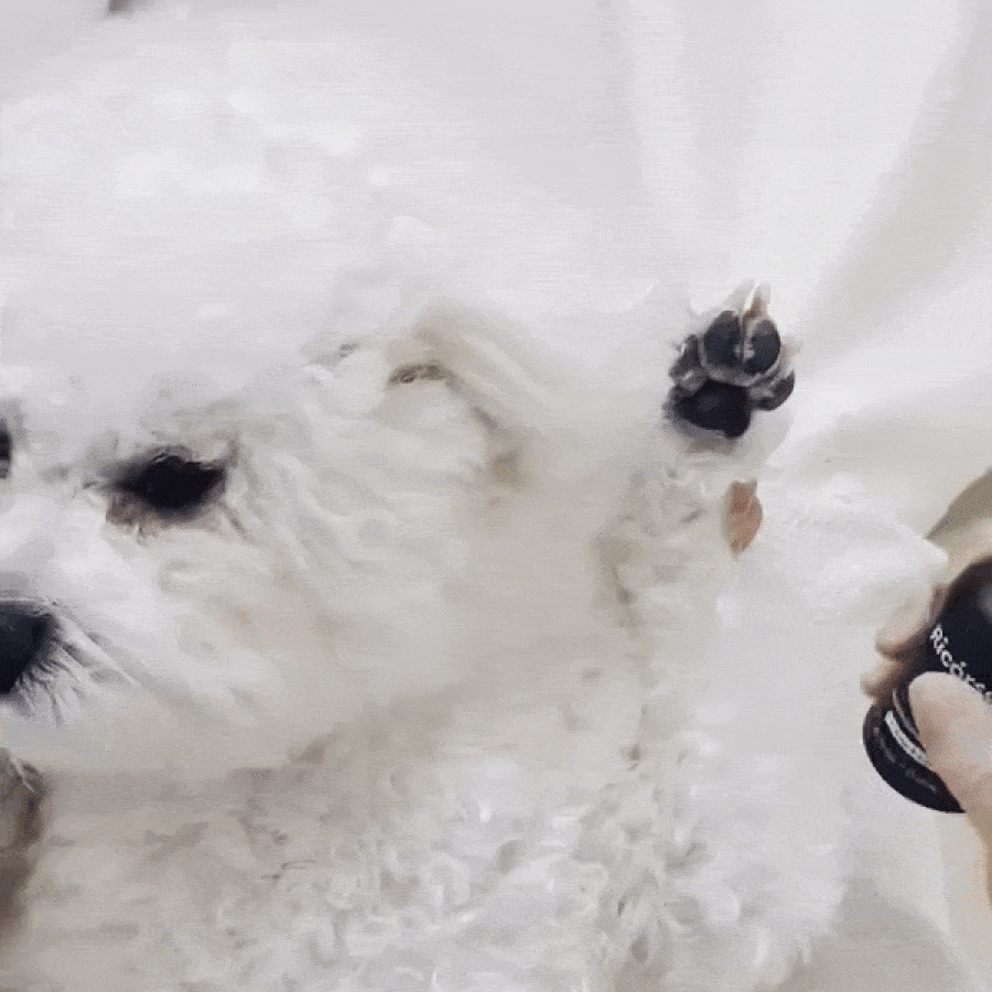 【Ricorso 】Velvety絲絨肌膚凝膠 50ml