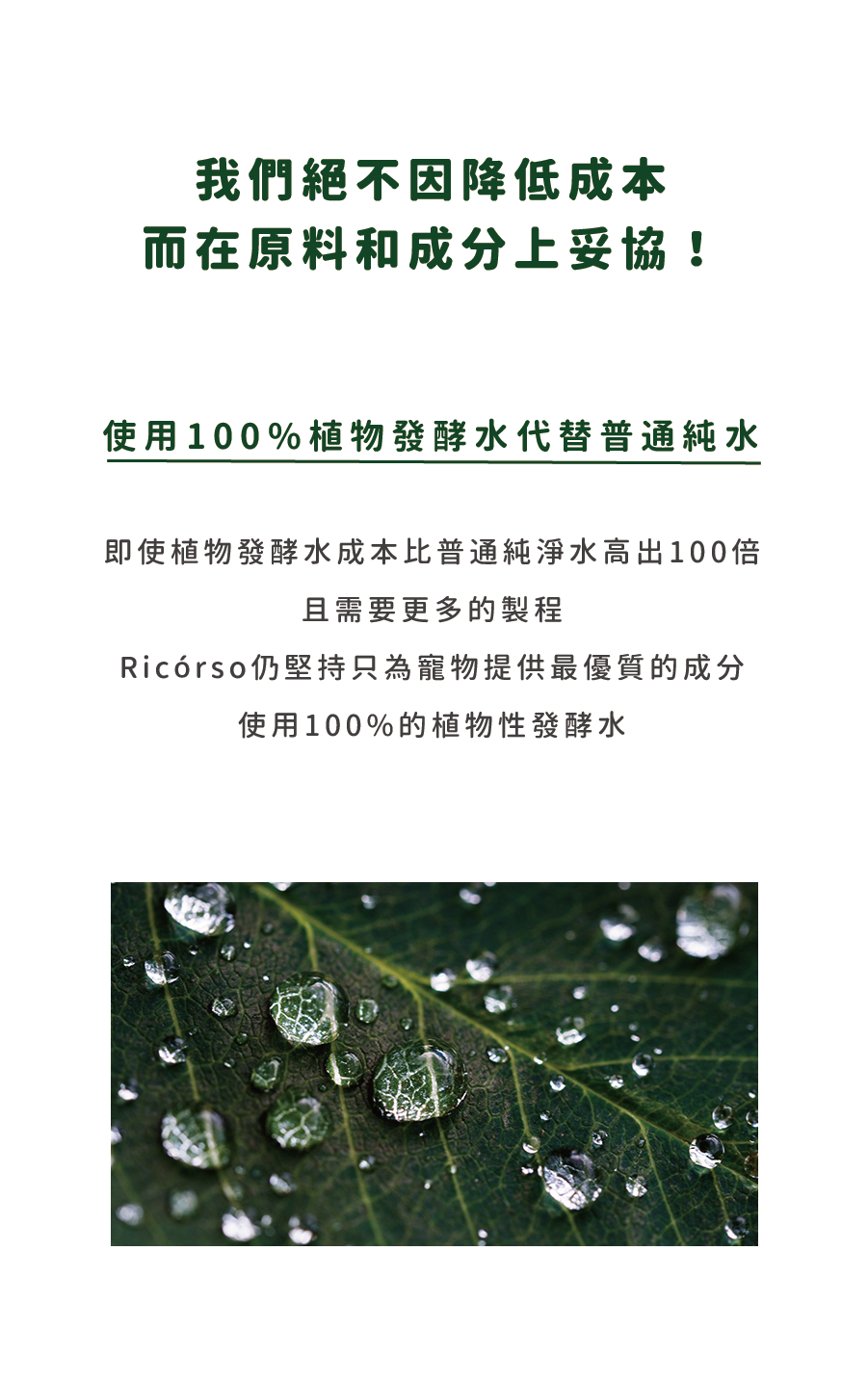 【Ricorso 】Velvety絲絨肌膚凝膠 50ml