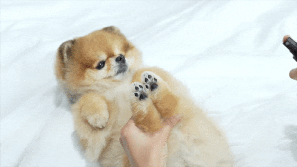 【Ricorso 】Walkly足部乾洗噴霧 200ml