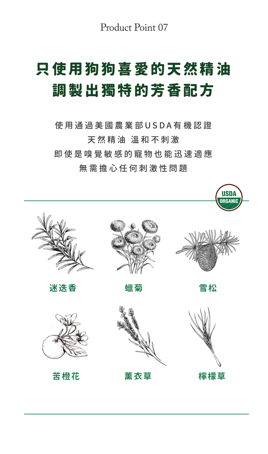 【Ricorso 】Walkly足部乾洗噴霧 200ml