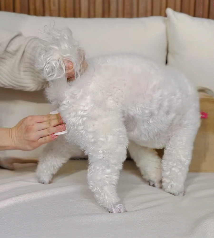 【Ricorso 】Walkly足部乾洗噴霧 200ml