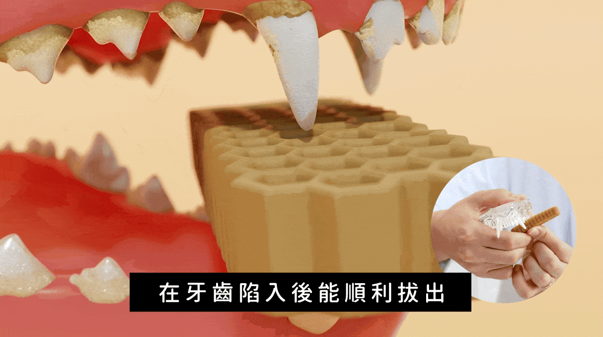 【by*Ref 】Honeycomb Chew蜂巢六角潔牙骨-雞肉(S) 10gx12/包