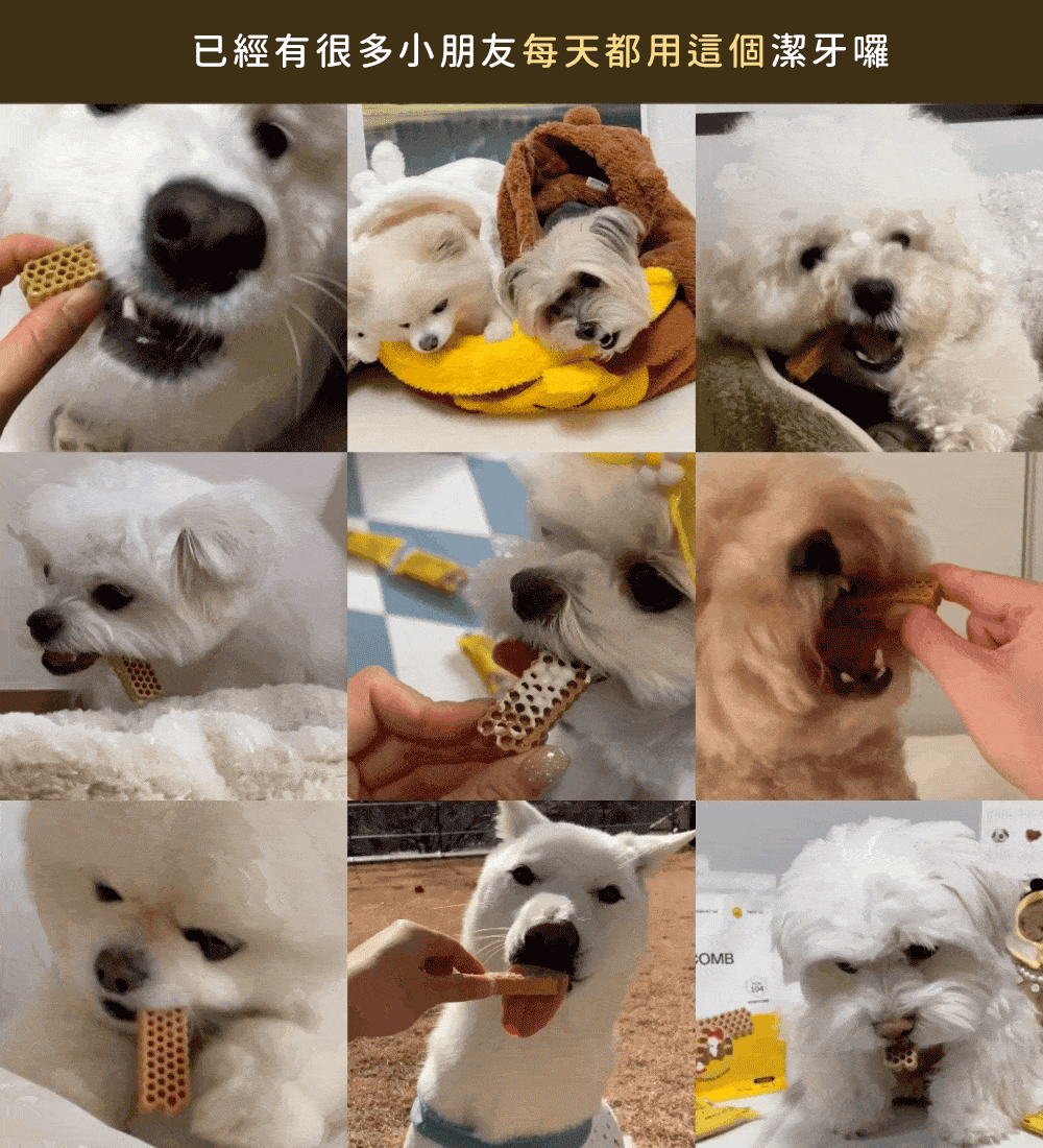 【by*Ref 】Honeycomb Chew蜂巢六角潔牙骨-雞肉(S) 10gx12/包