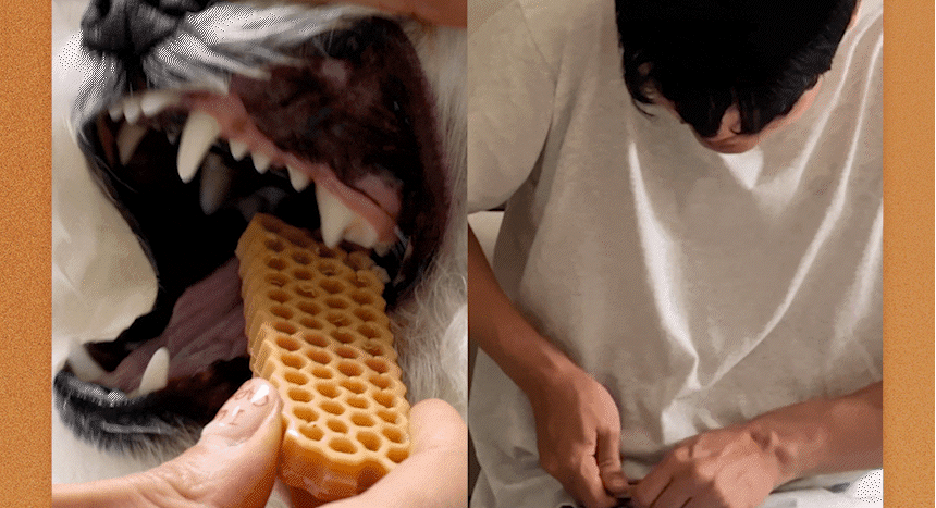 【by*Ref 】Honeycomb Chew蜂巢六角潔牙骨-雞肉(S) 10gx12/包