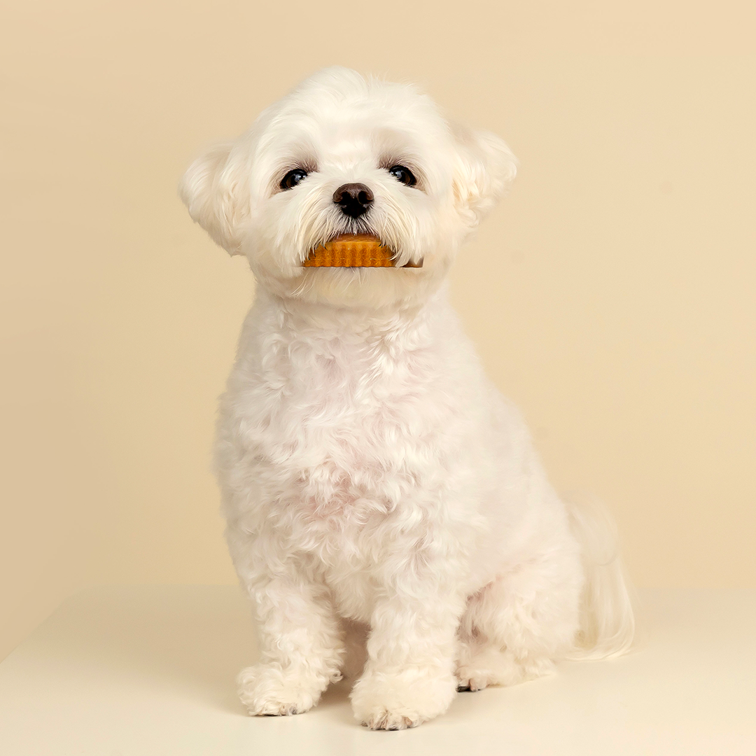 【by*Ref 】Honeycomb Chew蜂巢六角潔牙骨-雞肉(S) 10gx12/包